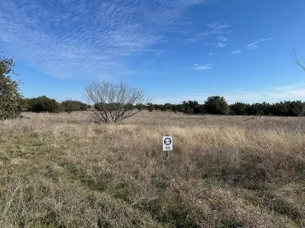 Graford, TX 76449,1036 Lake Shore Loop