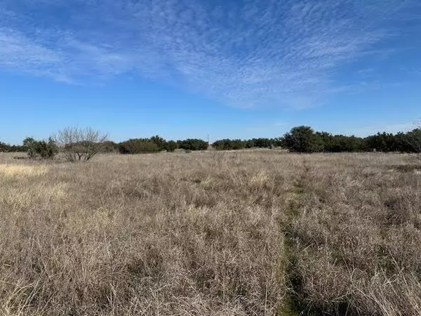 Graford, TX 76449,1036 Lake Shore Loop