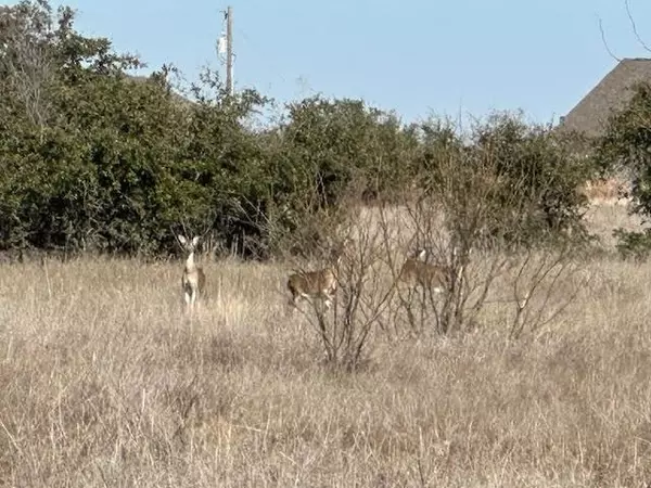 Graford, TX 76449,1036 Lake Shore Loop