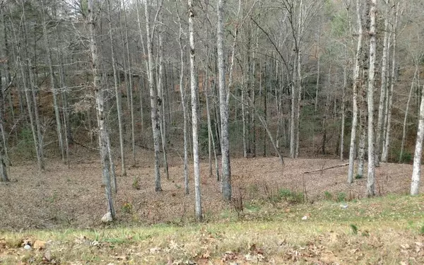 Ellijay, GA 30540,Lot #116 Jakes Landing Overlook