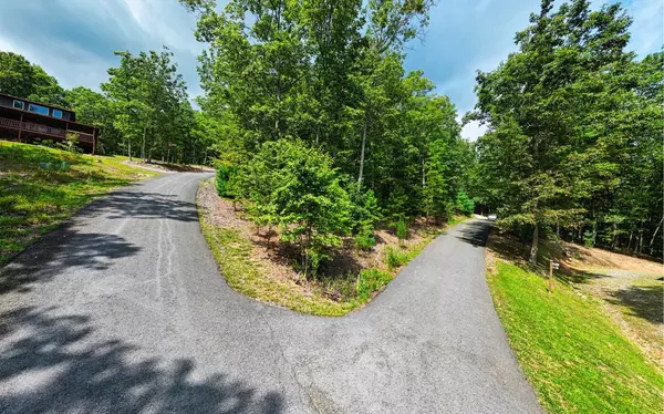 Blairsville, GA 30512,LOT 6 Sheep Stomp Road