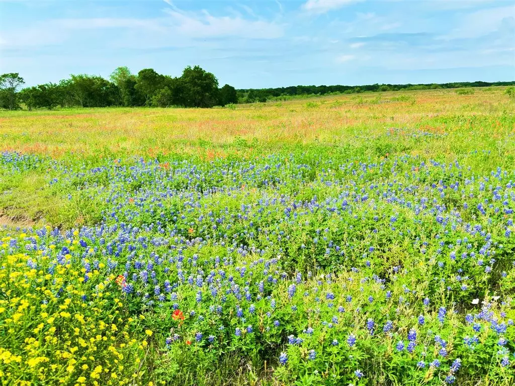 Hubbard, TX 76648,TBD PR 373 County Road 3373