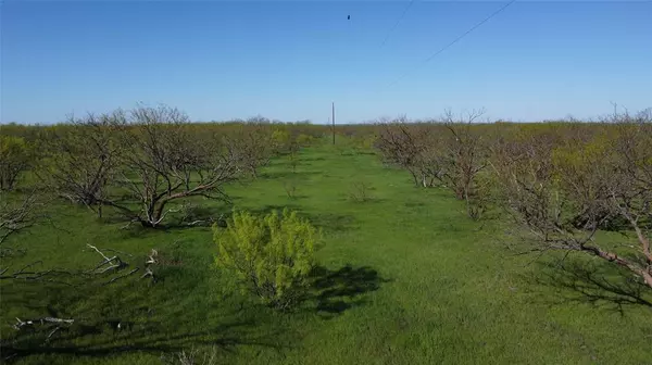 Throckmorton, TX 76702,0000 Mexican Springs Road