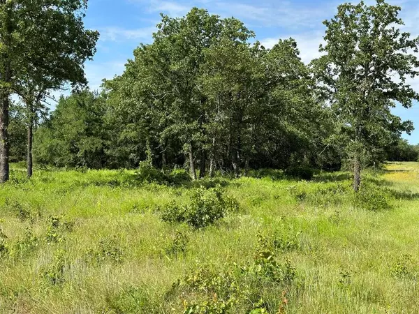 Perrin, TX 76486,Lot 79 Paradise Oaks