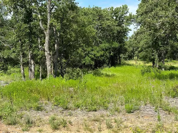 Perrin, TX 76486,Lot 79 Paradise Oaks