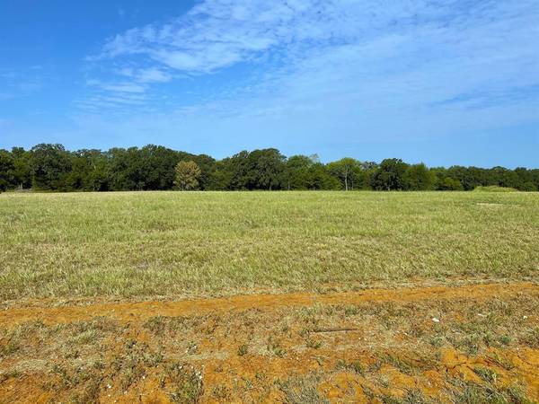 Gordonville, TX 76245,Lot 17C Windrose Loop