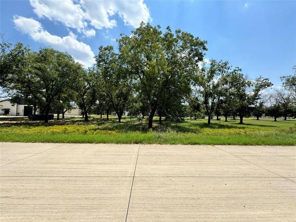 2002 Skymaster Drive, Granbury, TX 76049