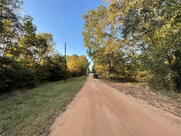 Leesburg, TX 75451,TBD Private Road 52423