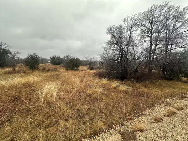 Brownwood, TX 76801,TBD lot 22 Oak Ridge Loop