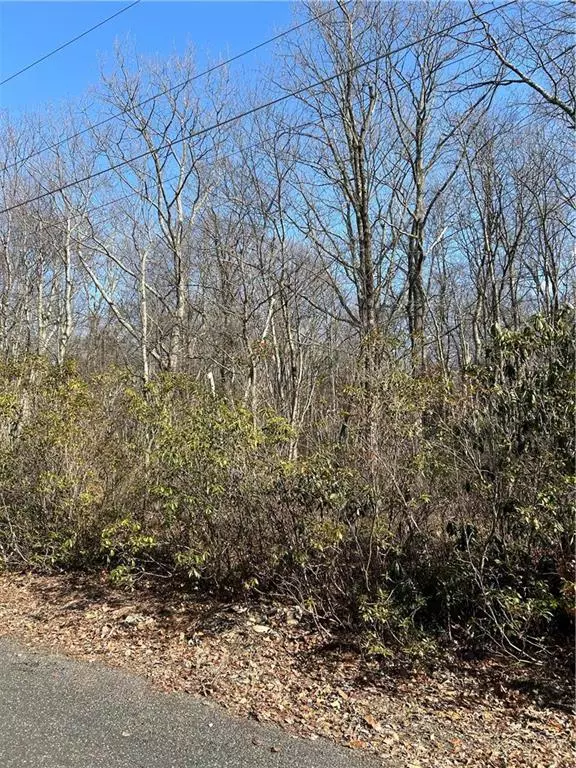 Penn Forest Township, PA 18229,Lot B9 W Clarkes Lane