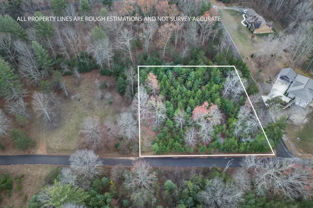 Blairsville, GA 30512,Lot 8 B & W Ranch Rd Lot 8