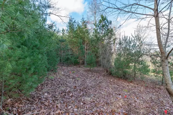 Blairsville, GA 30512,Lot 7 B & W Ranch Rd Lot 7