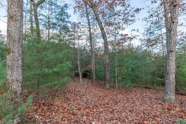 Blairsville, GA 30512,Lot 8 B & W Ranch Rd Lot 8