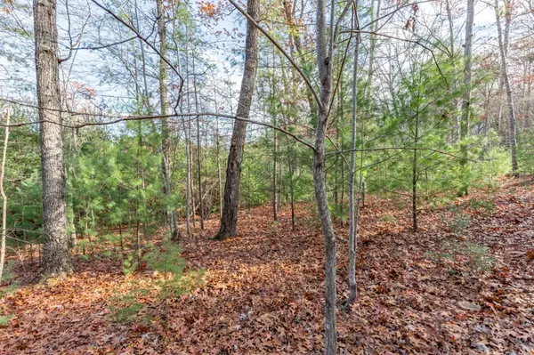 Blairsville, GA 30512,Lot 8 B & W Ranch Rd Lot 8