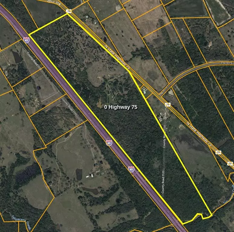 Fairfield, TX 75840,152.32Ac N Hwy 75