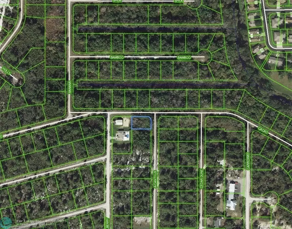 Lake Placid, FL 33852,1218 Ailanthus St