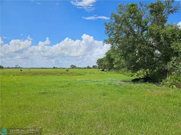 1000 Cattle Ranch Rd, Venus, FL 33960