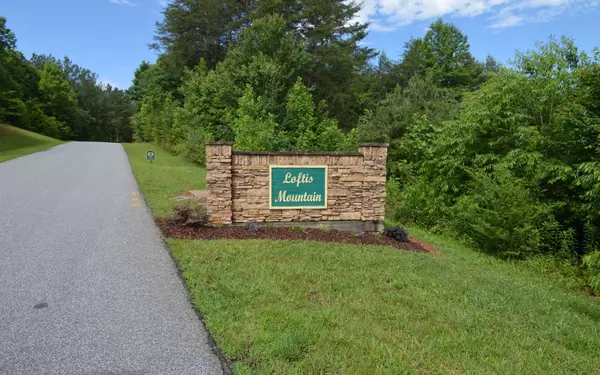 Blairsville, GA 30512,LOT14 Loftis Mountain