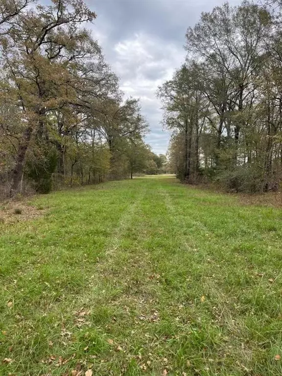 Cayuga, TX 75148,AN County Road 493