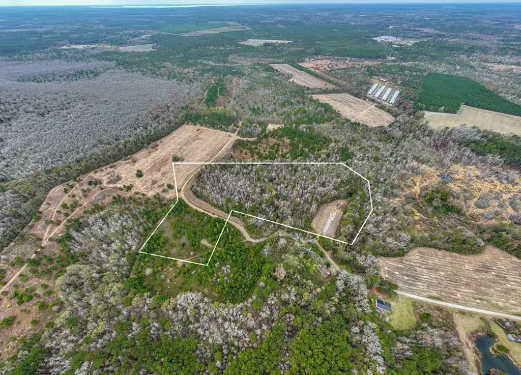 Manning, SC 29102,TBD 17.72 Acres Whitmire Ln