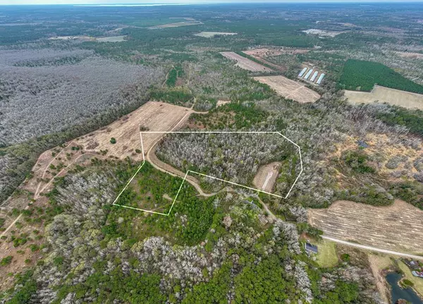 TBD 17.72 Acres Whitmire Ln, Manning, SC 29102