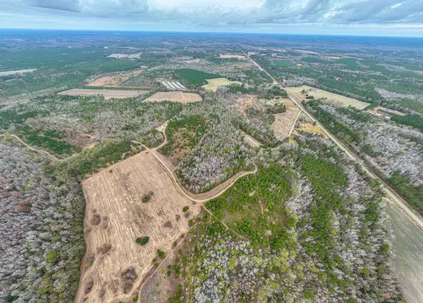 Manning, SC 29102,TBD 17.72 Acres Whitmire Ln