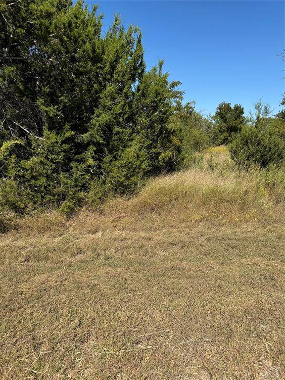 36026 Cedar Ridge Drive, Whitney, TX 76692