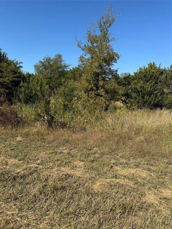 Whitney, TX 76692,36026 Cedar Ridge Drive