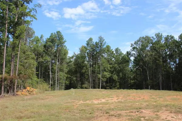 314 Wilderness Trail,  Minden,  LA 71055