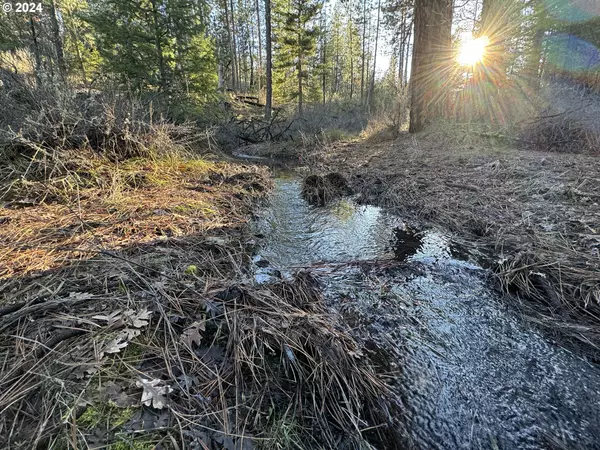 Goldendale, WA 98620,BOX CANYON