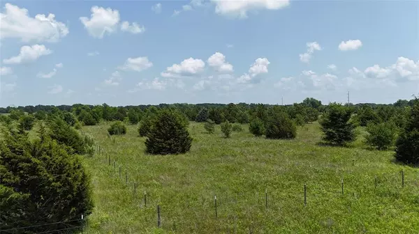 Kerens, TX 75144,Lot 2 NE Country Road 2190