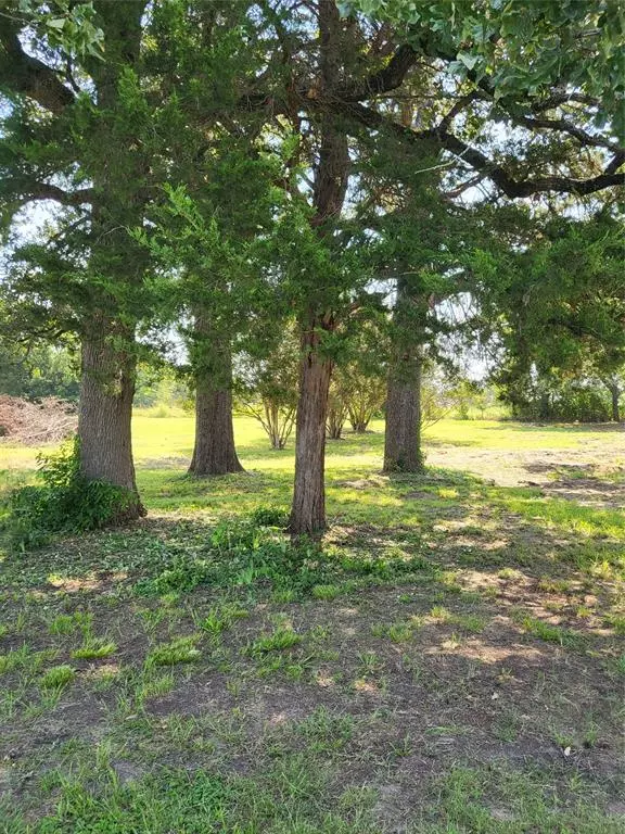 Scurry, TX 75158,5521 Shady Lane