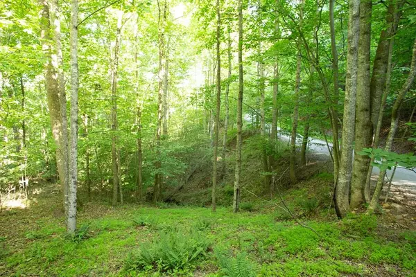 Lot 175 AJ's Holler, Blairsville, GA 30512