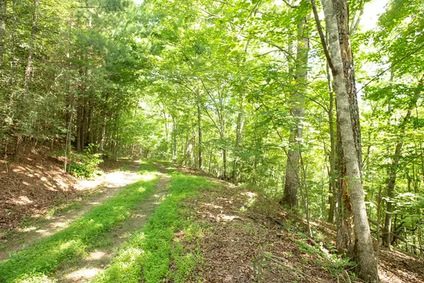 Blairsville, GA 30512,Lot 89 Nelson Circle