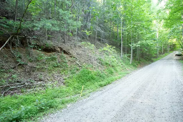 Lot 168 AJ's Holler, Blairsville, GA 30512