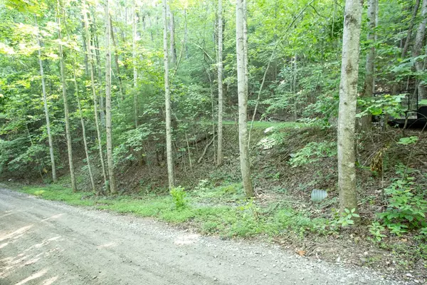 Blairsville, GA 30512,Lot 168 AJ's Holler