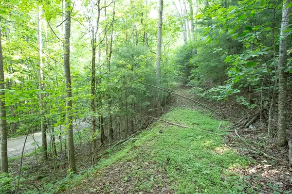 Blairsville, GA 30512,Lot 168 AJ's Holler