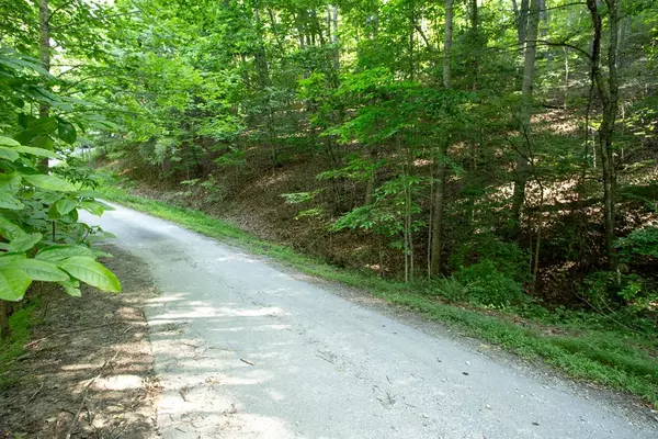 Lot 161 AJ's Holler, Blairsville, GA 30512