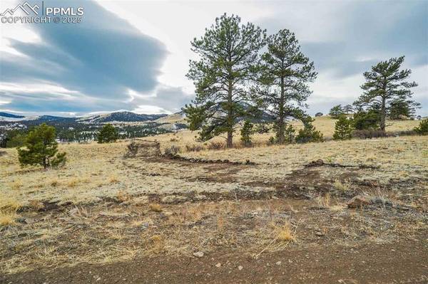 Tract 4 County Road 102, Guffey, CO 80820