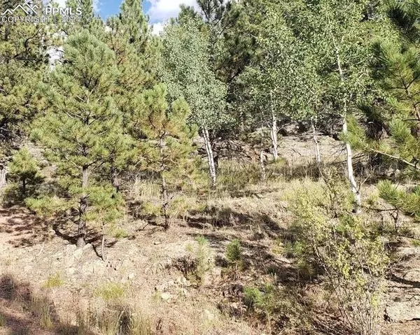 Florissant, CO 80816,147 Merrywood LN