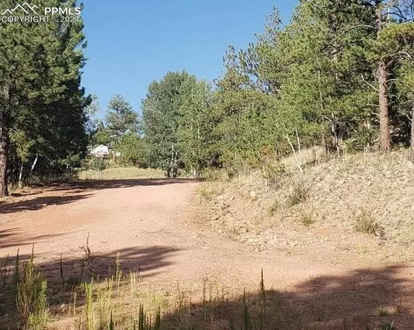 Florissant, CO 80816,147 Merrywood LN