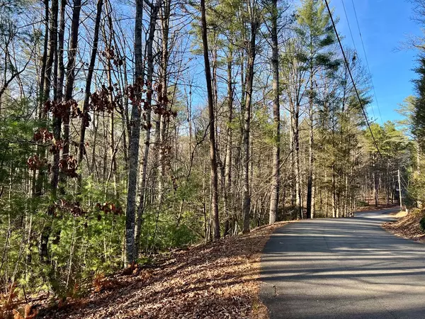 Ellijay, GA 30540,Lot 622 Sapulpa Court