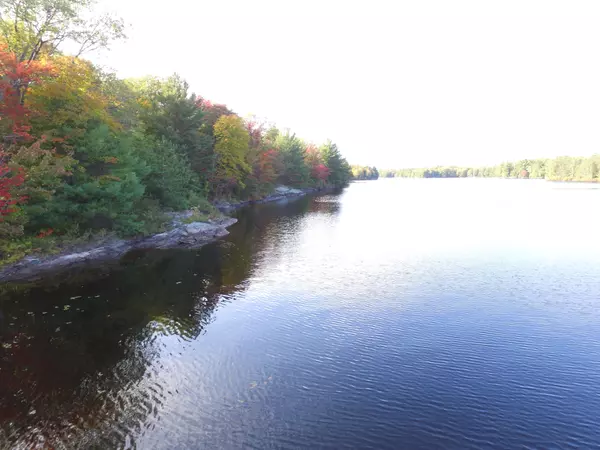 Georgian Bay, ON P0C 1A0,30 Hawkins Point RD