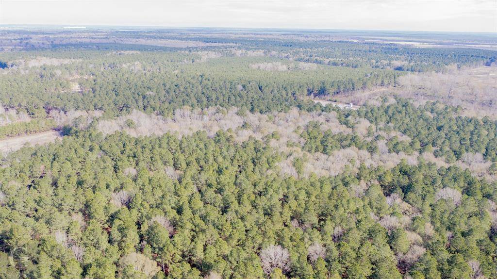 Frierson, LA 71027,00 Gravel Point Road #5A