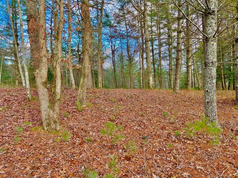 Lot 5 Hawks View, Morganton, GA 30560