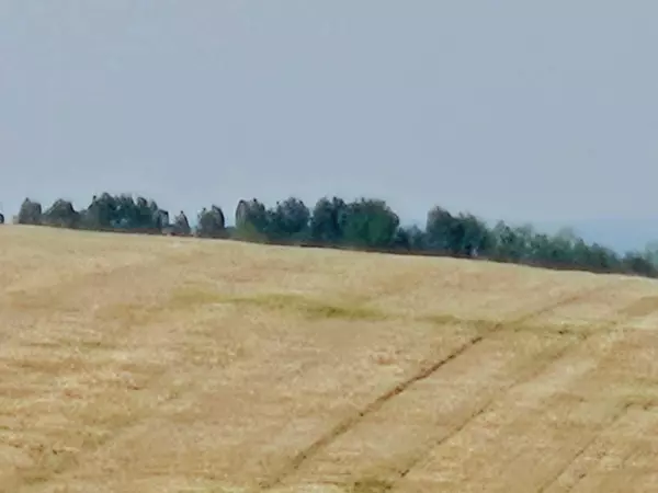 Rural Rocky View County, AB T4B 3L5,Symons Valley