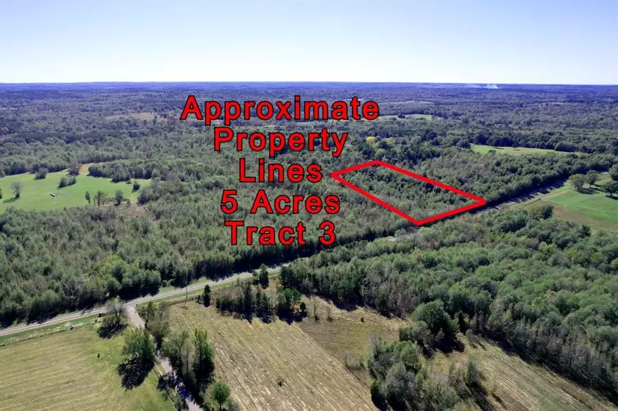 5 Acres Tract 3 FM 2455, Pittsburg, TX 75686