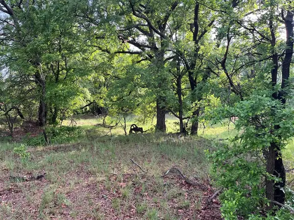 Loving, TX 76460,W. 34.1 Hoffman Road