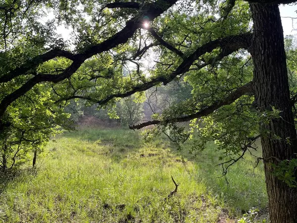 Loving, TX 76460,W. 34.1 Hoffman Road