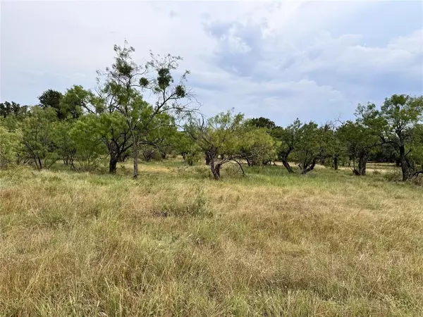 May, TX 76857,TBD LOT 1145 Lake Crest Drive